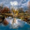 Stephen W. Douglas, Emerson's Tree, 1998 