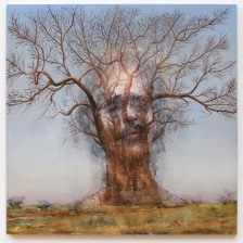 Stephen W. Douglas, Roots, 2019